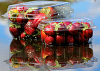 Strawberry Reflection